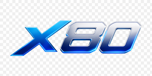 x80